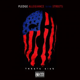 Pledge Allegiance To The Streets 29